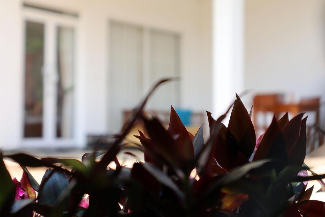 Ella Touch Bed and Breakfast Εξωτερικό φωτογραφία